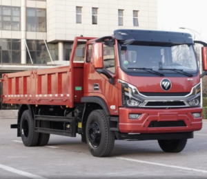 FOTON Ruiwo 4X2 Dump Truck