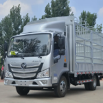 FOTON 4X2 Mini Cargo Truck