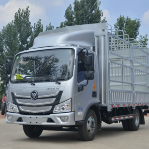 FOTON 4X2 Mini Cargo Truck