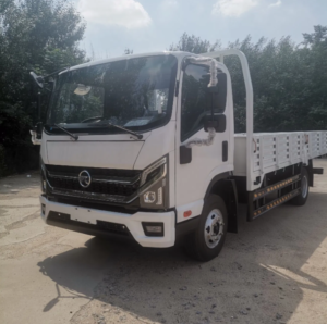 6 Ton KAMA 4X2 Mini Cargo Truck