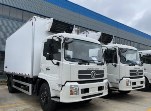 12-Tons Dongfeng 20-Feet Refrigerated Truck Container Freezer Van for Sale in Benin